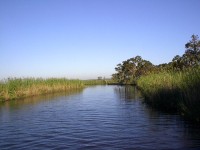 pearl_river