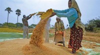 india-middle-class-ENT-wide-horizontal
