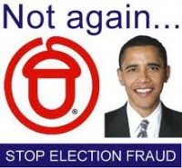 acorn-election-fraud-2012
