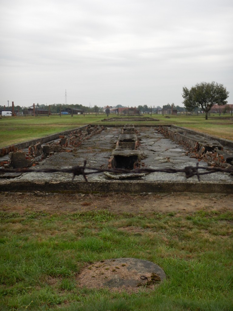 Birkenau