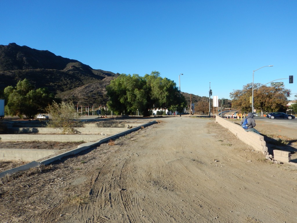 Tree and parking area where the vote for $15 occurred in 2006