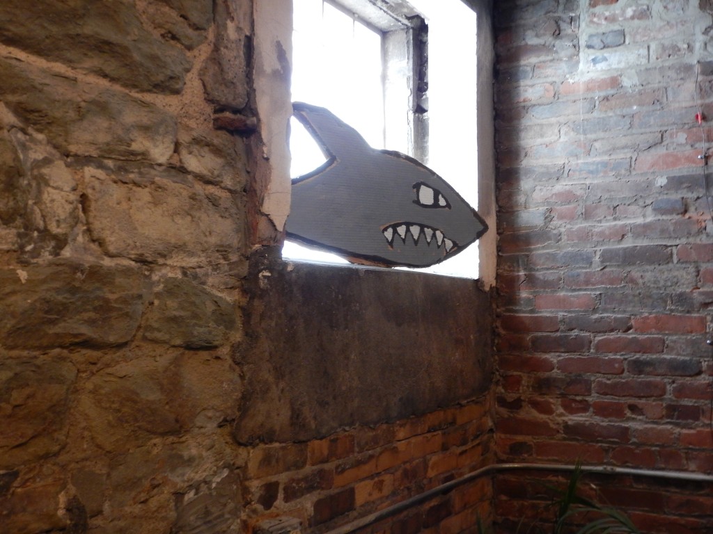 Shark from old ACORN predatory lending action